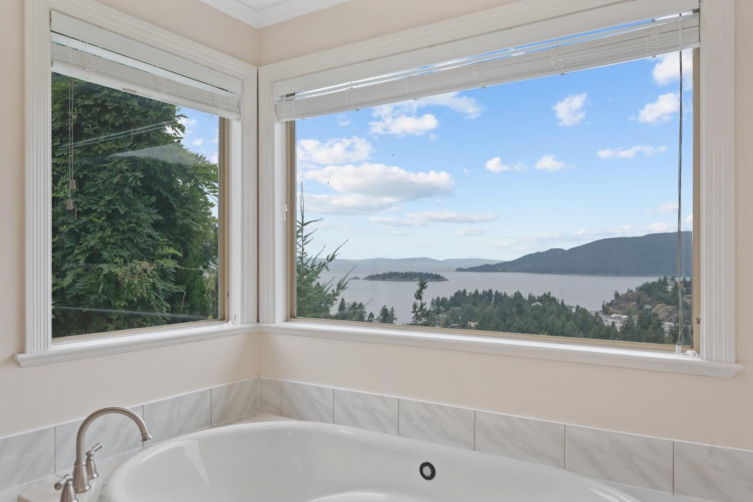The view from the primary bathroom tub